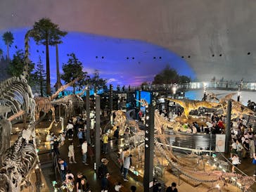 福井県立恐竜博物館に投稿された画像（2023/9/24）