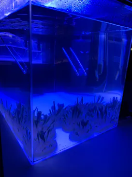 すみだ水族館に投稿された画像（2023/9/24）