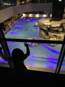 すみだ水族館に投稿された画像（2023/9/24）