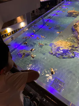 すみだ水族館に投稿された画像（2023/9/24）