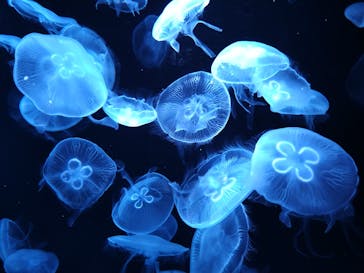 AOAO SAPPOROに投稿された画像（2023/9/24）