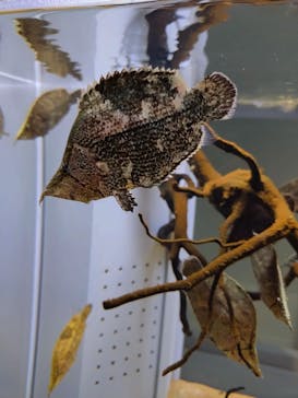 AOAO SAPPOROに投稿された画像（2023/9/24）