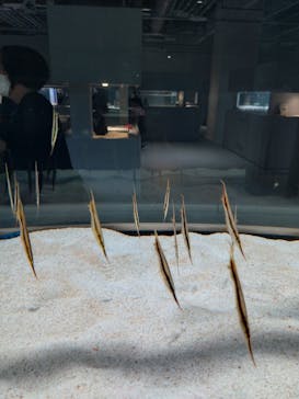 AOAO SAPPOROに投稿された画像（2023/9/24）