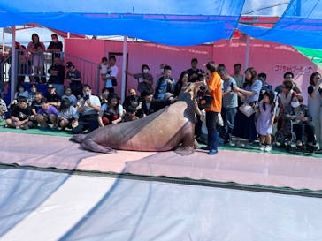 ゼロ距離水族館 伊勢シーパラダイスに投稿された画像（2023/9/24）