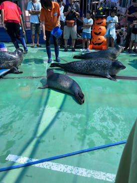 ゼロ距離水族館 伊勢シーパラダイスに投稿された画像（2023/9/24）