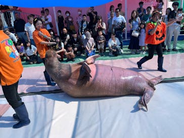 ゼロ距離水族館 伊勢シーパラダイスに投稿された画像（2023/9/24）