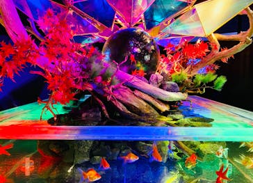 NARA KINGYO MUSEUMに投稿された画像（2023/9/24）