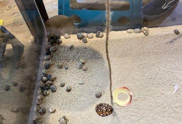 NARA KINGYO MUSEUMに投稿された画像（2023/9/24）