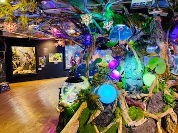 NARA KINGYO MUSEUMに投稿された画像（2023/9/24）