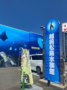 越前松島水族館に投稿された画像（2023/9/24）