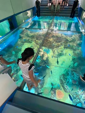 越前松島水族館に投稿された画像（2023/9/24）