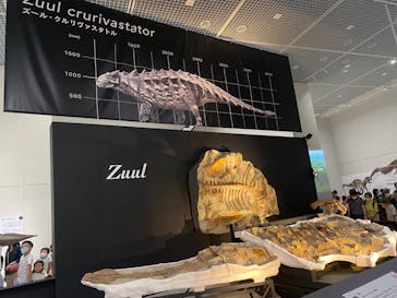 大阪市立自然史博物館に投稿された画像（2023/9/24）