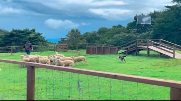 那須どうぶつ王国に投稿された画像（2023/9/24）