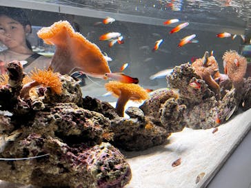 AOAO SAPPOROに投稿された画像（2023/9/24）