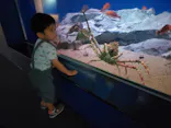 名古屋港水族館に投稿された画像（2023/9/25）