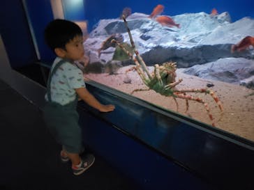 名古屋港水族館に投稿された画像（2023/9/24）