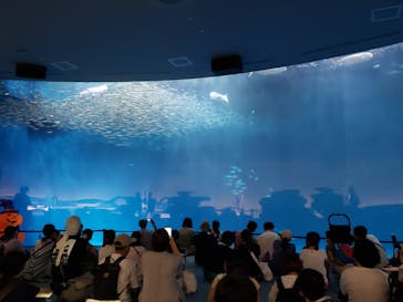 名古屋港水族館に投稿された画像（2023/9/24）