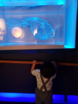 名古屋港水族館に投稿された画像（2023/9/24）