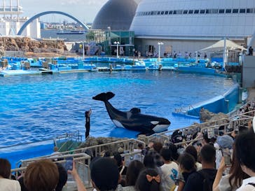 名古屋港水族館に投稿された画像（2023/9/25）