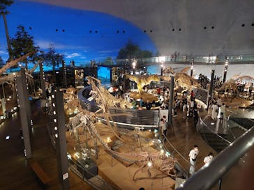 福井県立恐竜博物館に投稿された画像（2023/9/25）