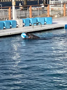 横浜・八景島シーパラダイスに投稿された画像（2023/9/25）