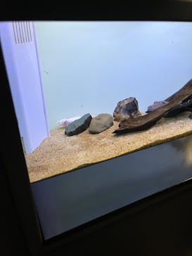 サンシャイン水族館に投稿された画像（2023/9/25）