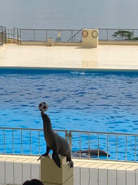 マリンワールド海の中道に投稿された画像（2023/9/25）