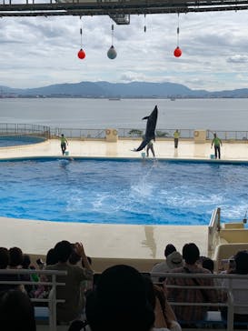 マリンワールド海の中道に投稿された画像（2023/9/25）