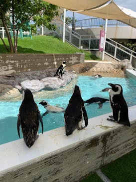 マリンワールド海の中道に投稿された画像（2023/9/25）