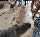 横浜・八景島シーパラダイスに投稿された画像（2023/9/25）