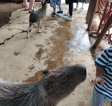 横浜・八景島シーパラダイスに投稿された画像（2023/9/25）
