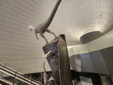 福井県立恐竜博物館に投稿された画像（2023/9/25）