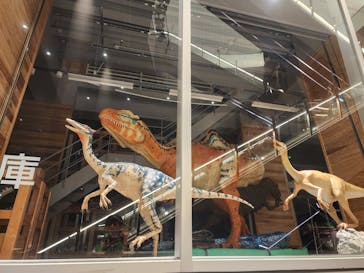 福井県立恐竜博物館に投稿された画像（2023/9/25）