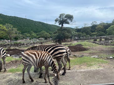 伊豆アニマルキングダムに投稿された画像（2023/9/25）