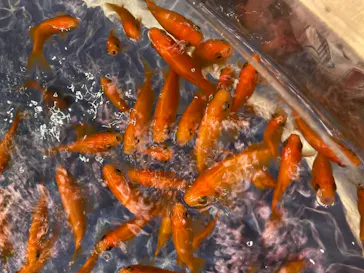 すみだ水族館に投稿された画像（2023/9/25）