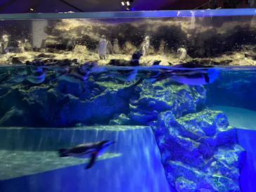 すみだ水族館に投稿された画像（2023/9/25）