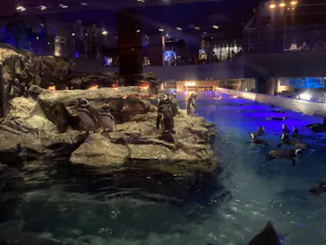 すみだ水族館に投稿された画像（2023/9/25）