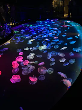 すみだ水族館に投稿された画像（2023/9/25）