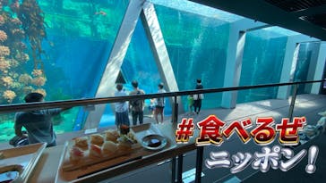 環境水族館アクアマリンふくしまに投稿された画像（2023/9/25）