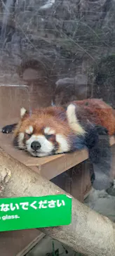 横浜・八景島シーパラダイスに投稿された画像（2023/9/25）