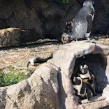 サンシャイン水族館に投稿された画像（2023/9/25）