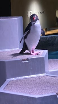 AOAO SAPPOROに投稿された画像（2023/9/25）