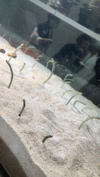 AOAO SAPPOROに投稿された画像（2023/9/25）