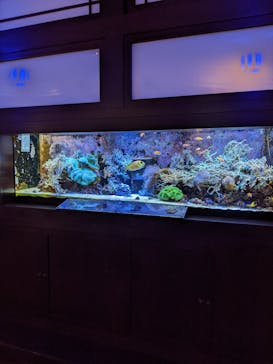 横浜開運水族館 フォーチュンアクアリウムに投稿された画像（2023/9/25）