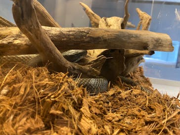 AOAO SAPPOROに投稿された画像（2023/9/25）