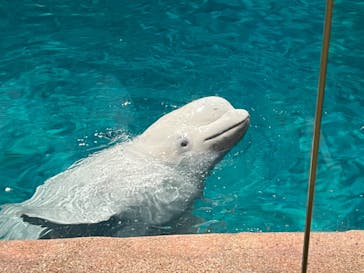 名古屋港水族館に投稿された画像（2023/9/25）