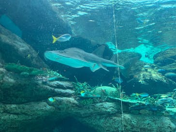 名古屋港水族館に投稿された画像（2023/9/25）