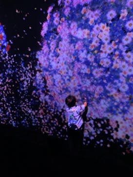 チームラボに投稿された画像（2023/9/25）