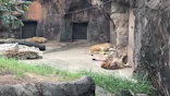 天王寺動物園に投稿された画像（2023/9/25）