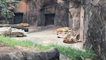 天王寺動物園に投稿された画像（2023/9/25）